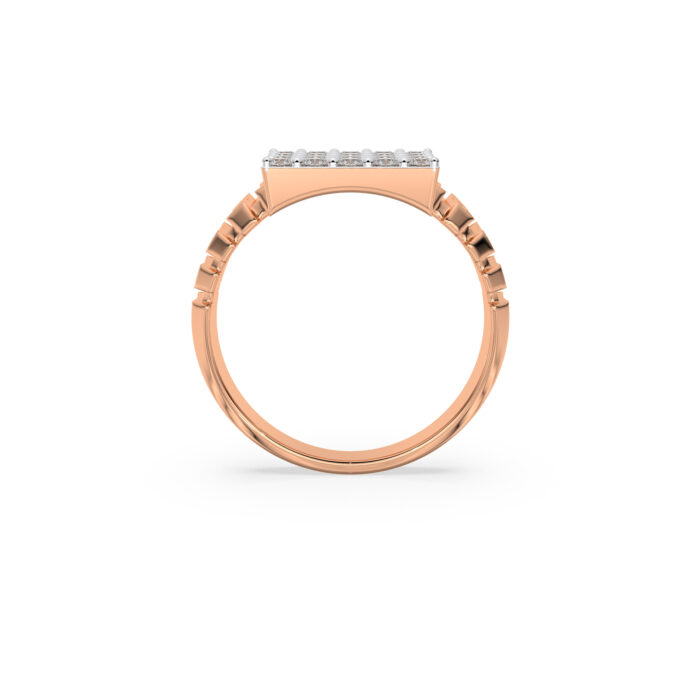 The Pravansh Ring