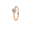 The Anvika Ring