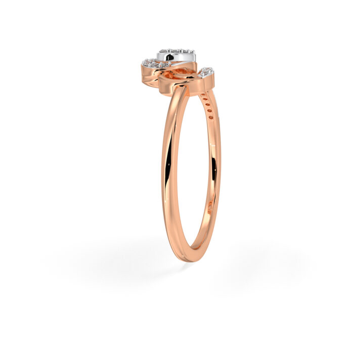 The Tashvi Ring