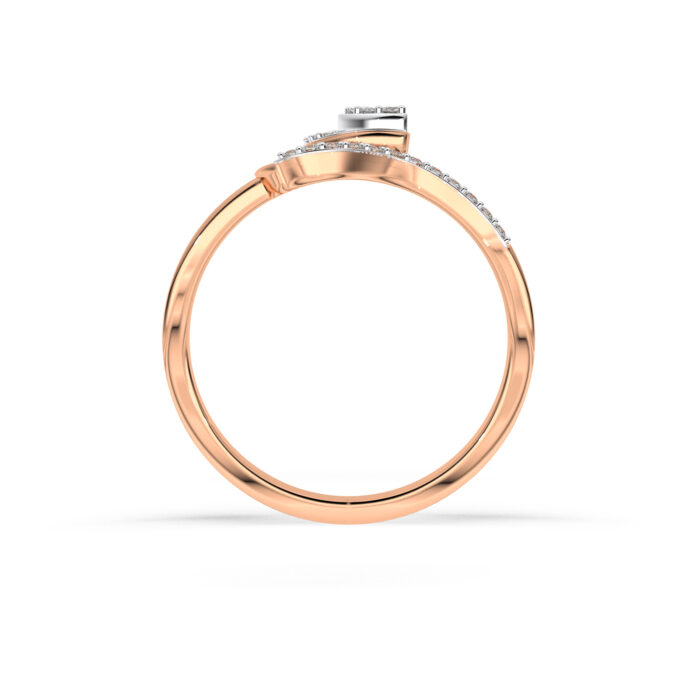 The Tashvi Ring