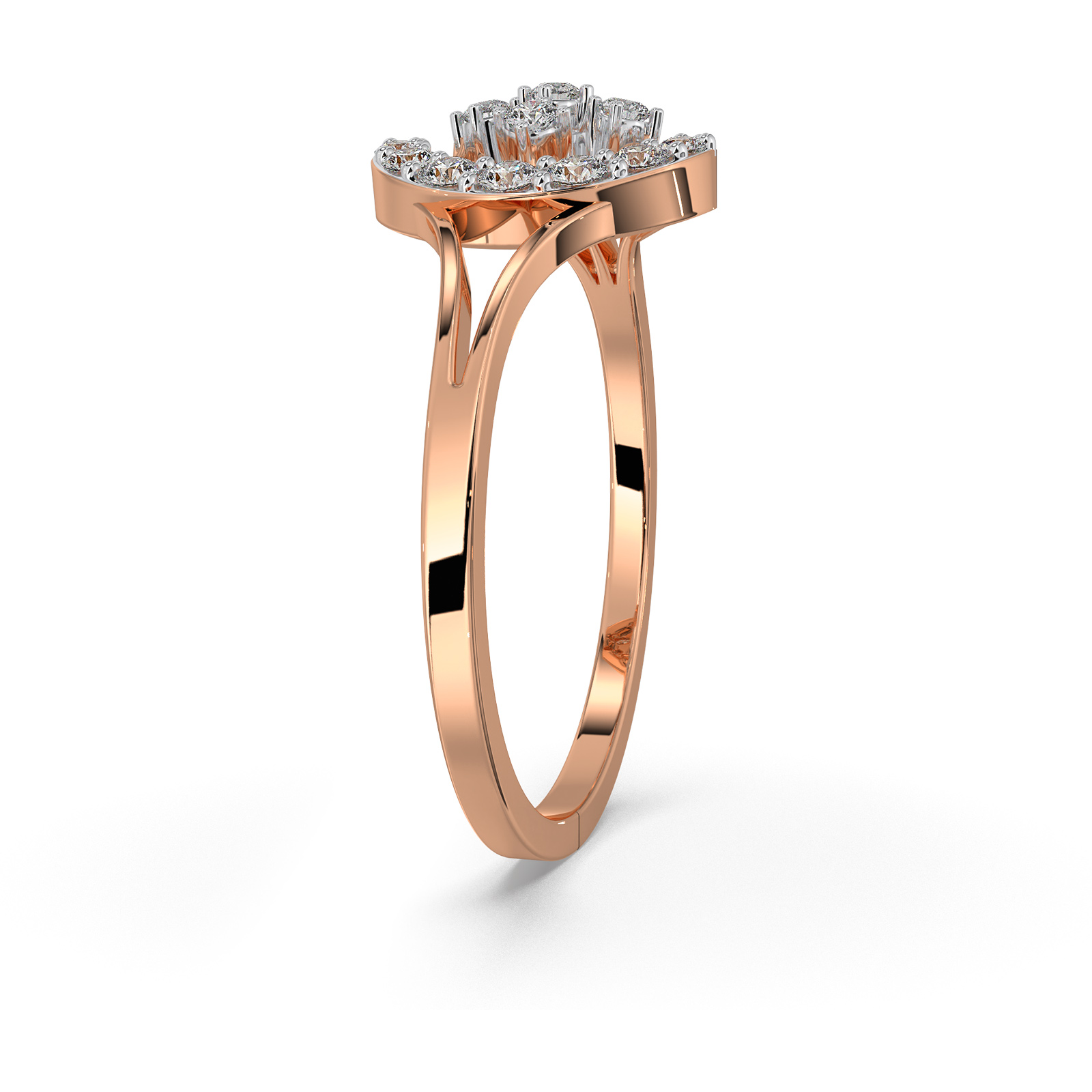 The Rauri Ring