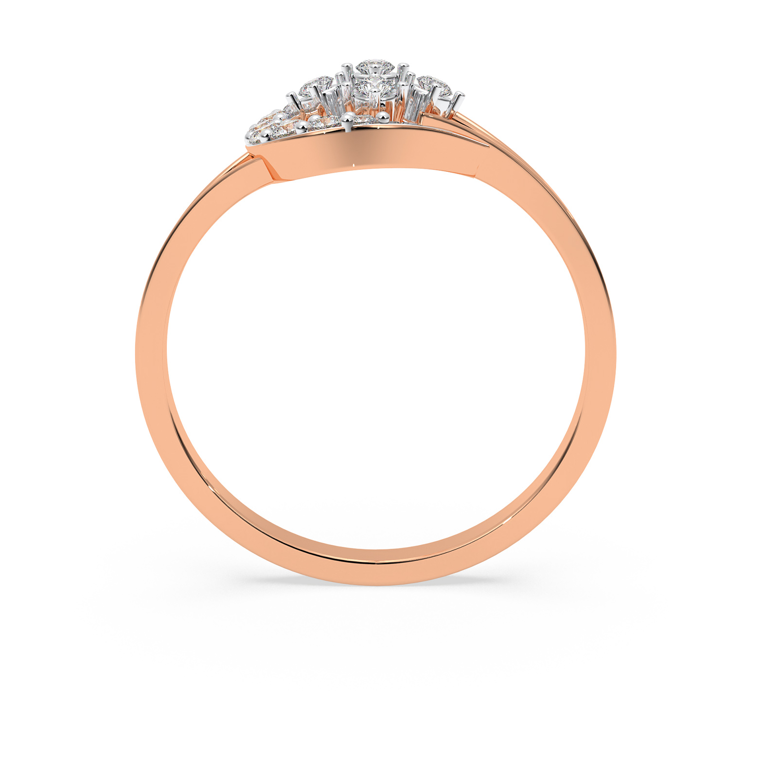 The Rauri Ring