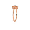 The Nozya Ring