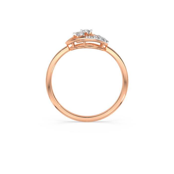 The Nozya Ring