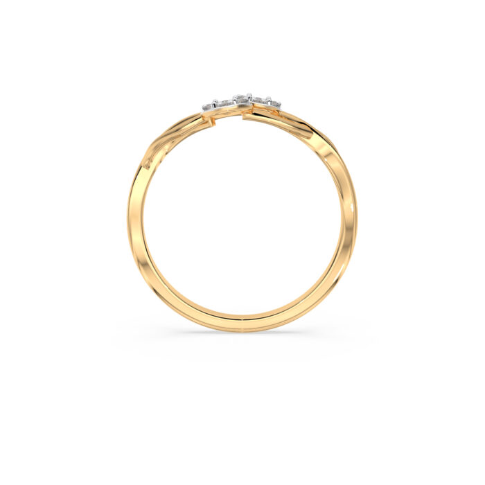 The Meiryn Ring