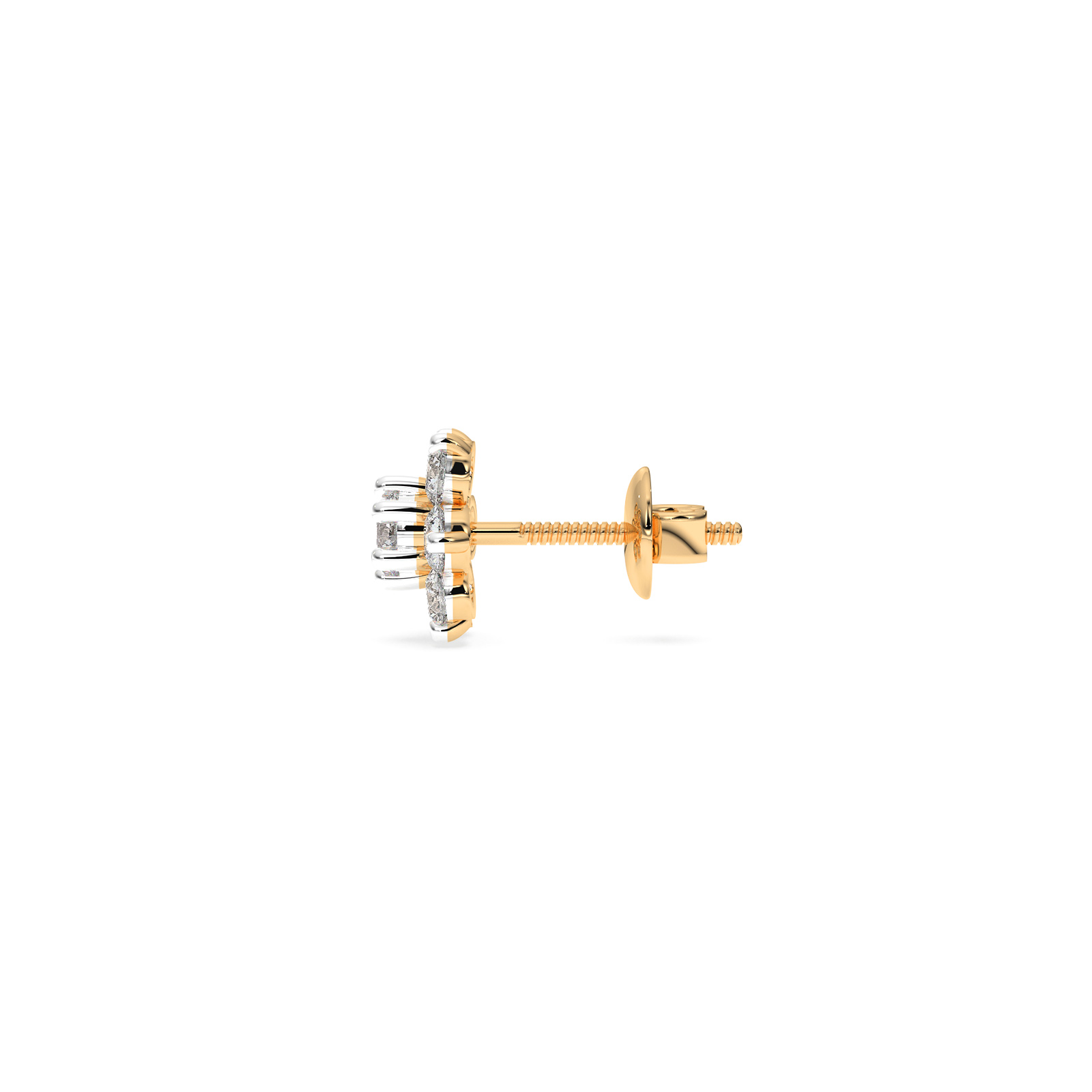 The Zevra Earring